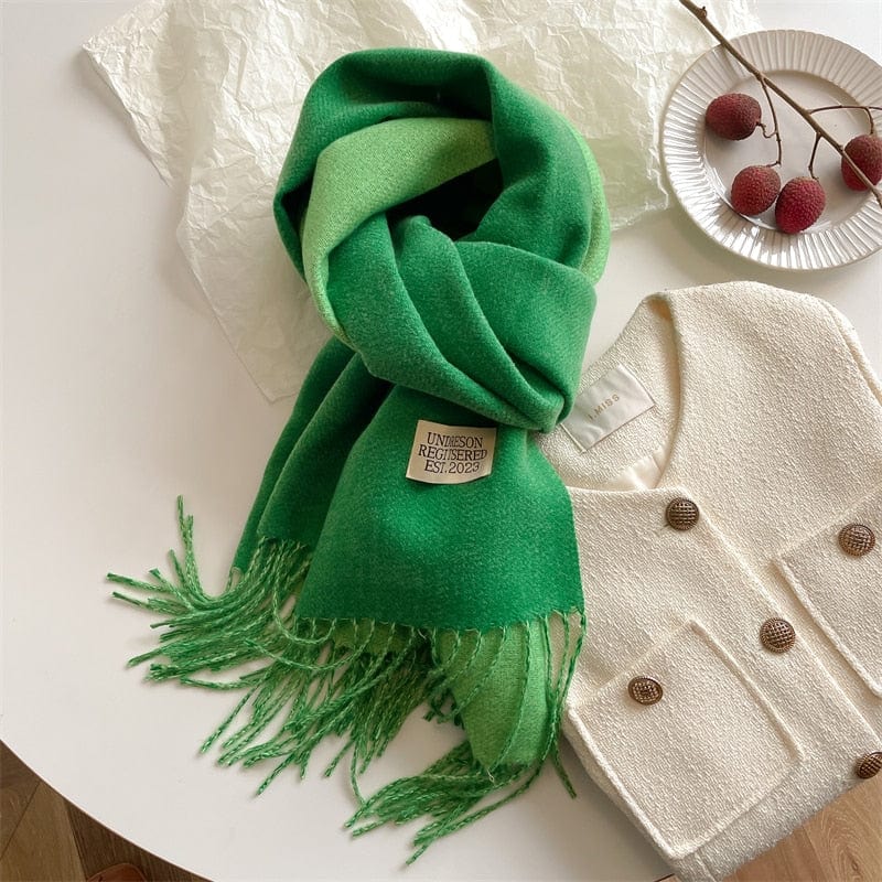 Fashion Solid Warm Scarf New Design Pashmina Winter Double Side Diffrent Color Shawl Wraps Bufanda with Tassel Blanket