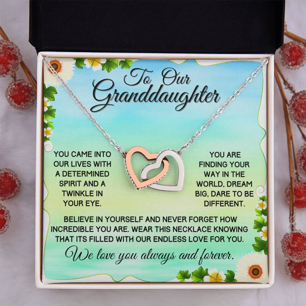 Gift For Granddaughter From Grandparents - Dream Big