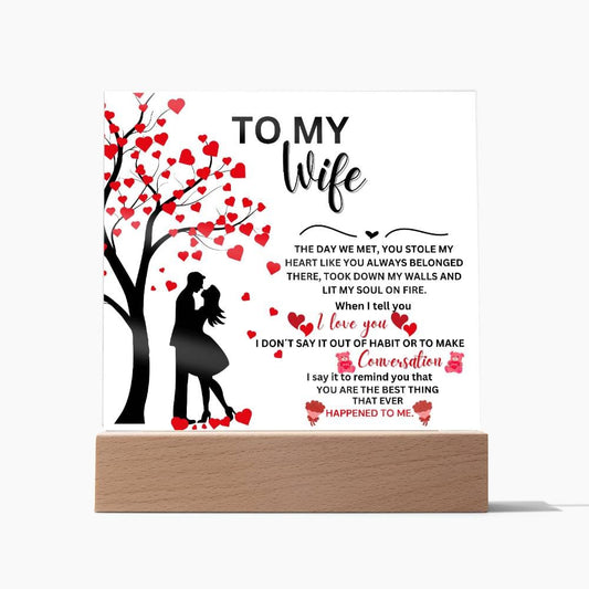 Gift For Wife From Husband - The Day We Met - Acrylic Plaque