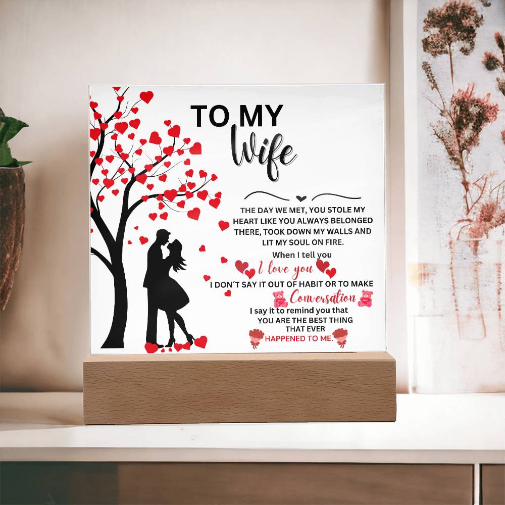 Gift For Wife From Husband - The Day We Met - Acrylic Plaque