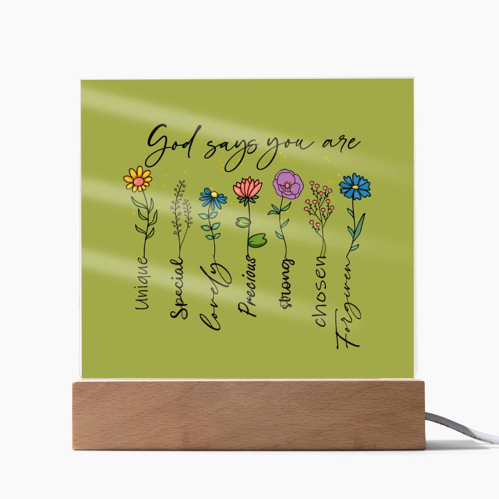 God Says You Are Acrylic Plaque