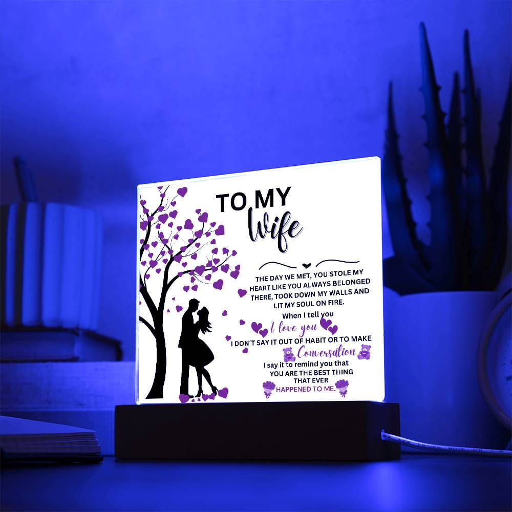 Gift For Wife From Husband - The Day We Met - Acrylic Plaque