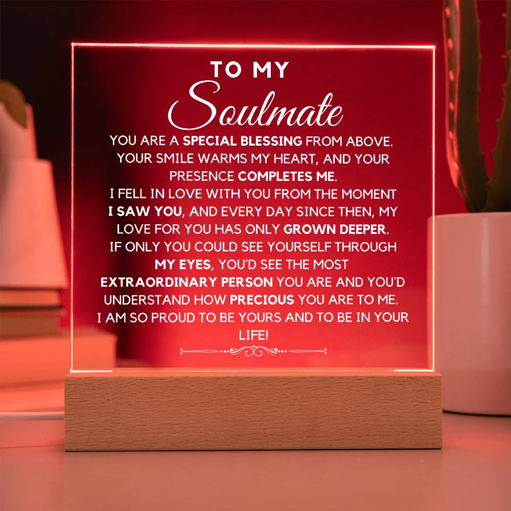 To My Soulmate - You Are My Special Blessing Acrylic Plaque