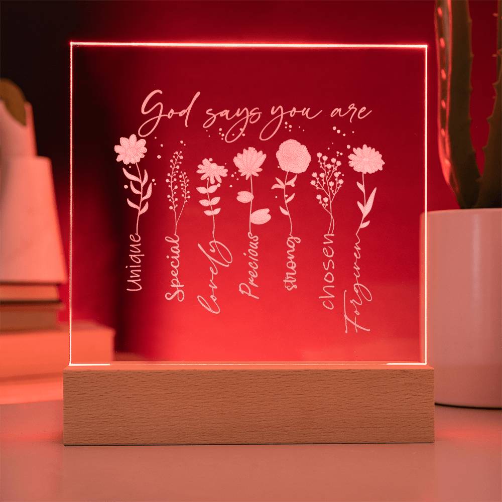 God Says You Are Engraved Acrylic Plaque Acrylic Plaque